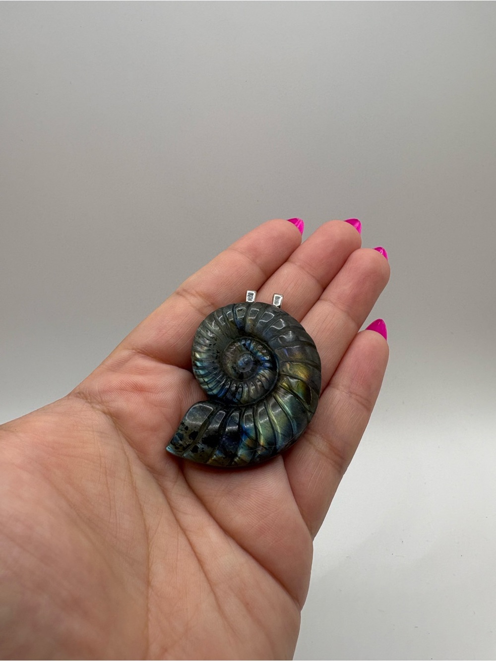 Labradorite Ammonite Shell Pendant - Blue-Green